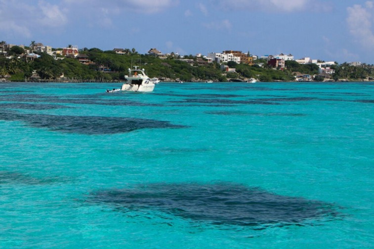 Cancún enfrenta retos ambientales a 14 años del paso del huracán “Wilma”