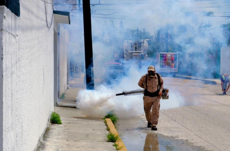 CON ACCIONES PREVENTIVAS GOBIERNO DE BJ COMBATE ENFERMEDADES POR VECTORES