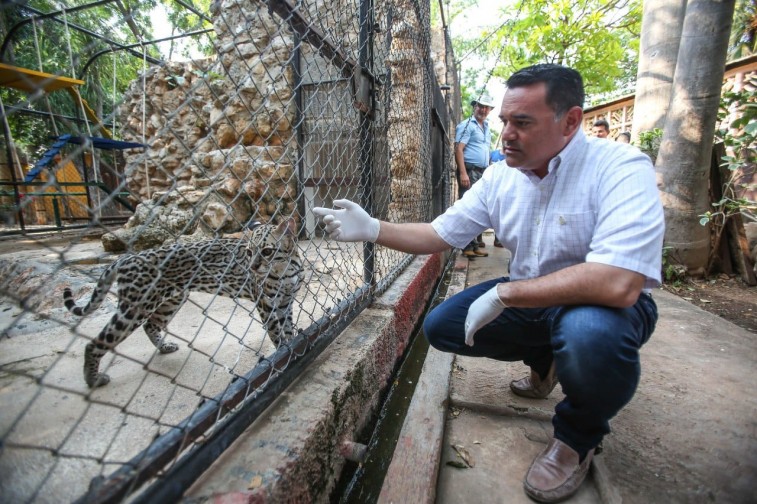 El Centenario celebra su aniversario 113 con actividades para las familias