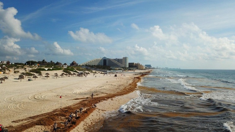 Las playas más despejadas de sargazo se ubican en el lado oeste de Cozumel.