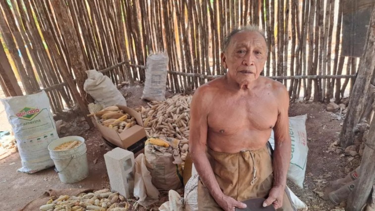 LUCHA CONTRA EL CALOR Y LA INDIFERENCIA: ABUELITO MAYA DE 80 AÑOS SUPLICA A CFE POR ELECTRICIDAD
