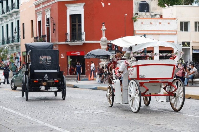 MEJORARÁN CONDICIONES DE CABALLOS DE CALESA EN MÉRIDA CON NUEVO PLAN MUNICIPAL