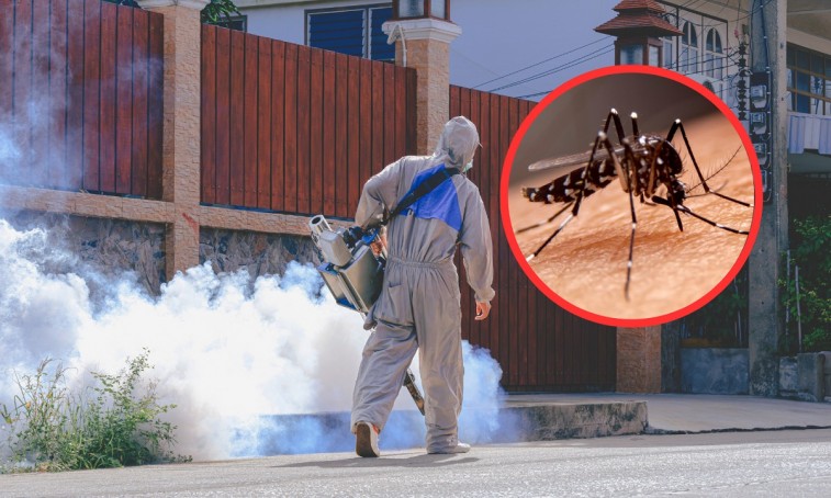 YUCATÁN REDUCE CASOS DE DENGUE CON OPERATIVOS MASIVOS Y APOYO CIUDADANO
